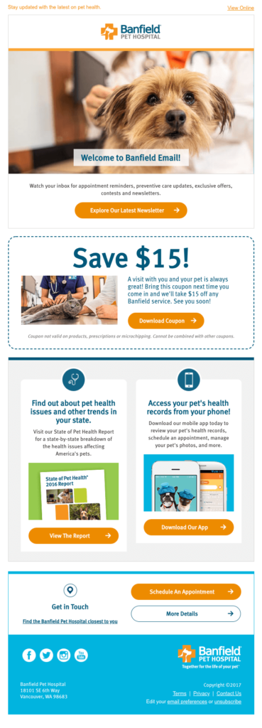 Effective Email Marketing Tips for Healthcare Providers